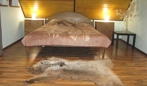 Студио. Гостевой комплекс Омела, г. Сочи, п. Красная Поляна