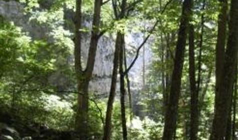 Хутор Николаенко