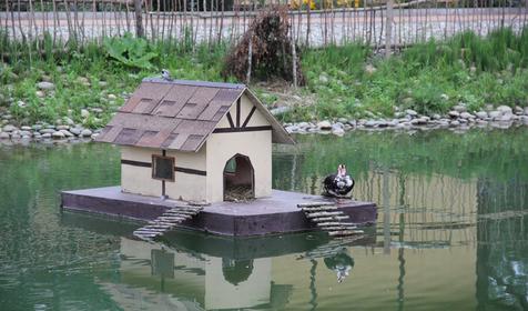 База отдыха Старая Мельница, п. Мостовской