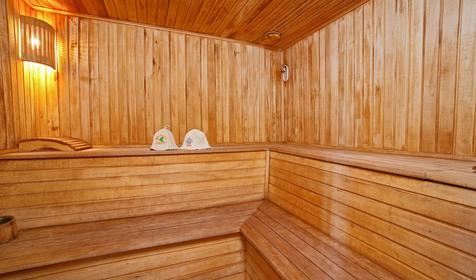 Баня. Частная гостиница Домики в горах, с. Хамышки