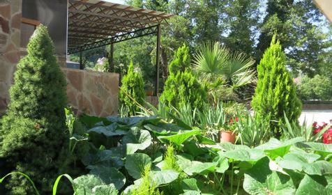 Гостевой дом Добрый кит, пос. Нижняя Хобза