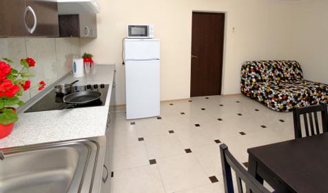 Апартаменты с кухней. Вилла Welcome, Геленджик, п. Криница