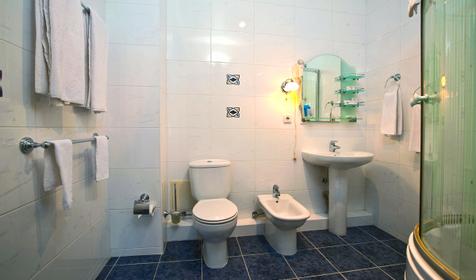 Стандарт совместный. Гостиница Сударушка, г. Краснодар