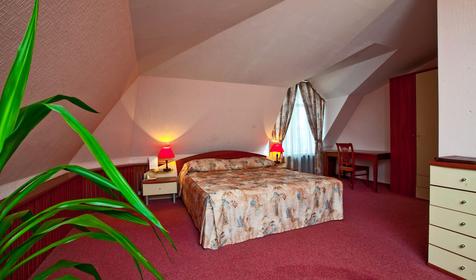 Люкс двухкомнатный №204. Гостиница Сударушка, г. Краснодар