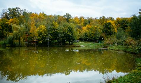 База отдыха Кордон Дальний, Туапсинский р-н, с. Молдовановка