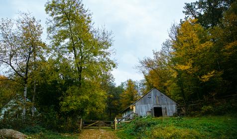 База отдыха Кордон Дальний, Туапсинский р-н, с. Молдовановка