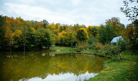 База отдыха Кордон Дальний, Туапсинский р-н, с. Молдовановка