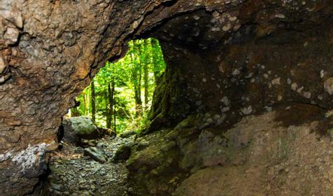 База отдыха Кордон Дальний, Туапсинский р-н, с. Молдовановка
