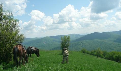 База отдыха Кордон Дальний, Туапсинский р-н, с. Молдовановка