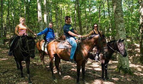 База отдыха Кордон Дальний, Туапсинский р-н, с. Молдовановка