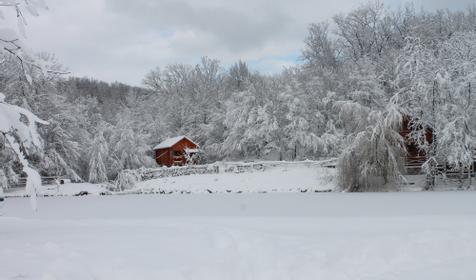 База отдыха Кордон Дальний, Туапсинский р-н, с. Молдовановка