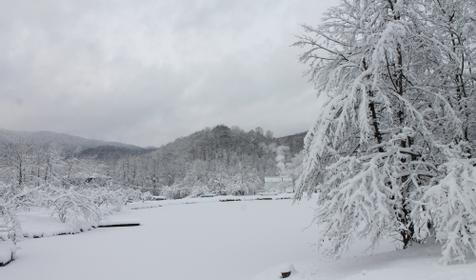 База отдыха Кордон Дальний, Туапсинский р-н, с. Молдовановка