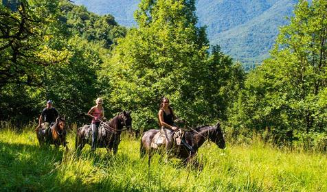 База отдыха Кордон Дальний, Туапсинский р-н, с. Молдовановка