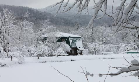 База отдыха Кордон Дальний, Туапсинский р-н, с. Молдовановка