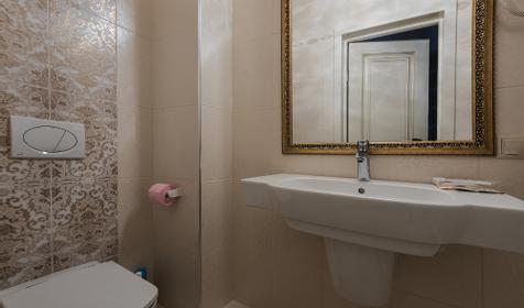 Полулюкс Голд. Арт-отель Альвита, г. Краснодар