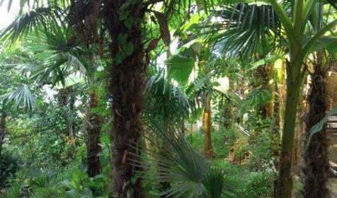 Коттеджный комплекс Морские сезоны, Лазаревский раон, п. Чемитоквадже