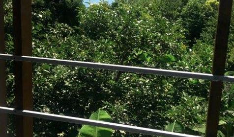 Коттеджный комплекс Морские сезоны, Лазаревский раон, п. Чемитоквадже