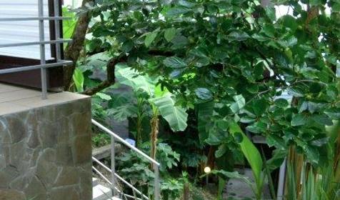 Коттеджный комплекс Морские сезоны, Лазаревский раон, п. Чемитоквадже