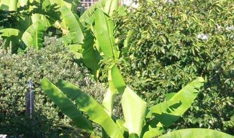 Коттеджный комплекс Морские сезоны, Лазаревский раон, п. Чемитоквадже