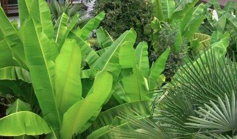 Коттеджный комплекс Морские сезоны, Лазаревский раон, п. Чемитоквадже