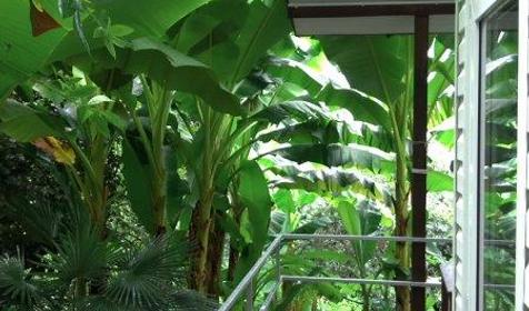 Коттеджный комплекс Морские сезоны, Лазаревский раон, п. Чемитоквадже