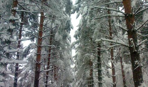 Гостевой дом OZON Family, п. Гузерипль