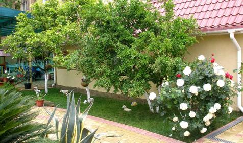 Отель Вариант, Сочи, Адлер