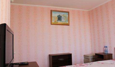 Полулюкс. Двухместный стандарт. Отель "Элефант" ст. Каневская, Краснодарский край.