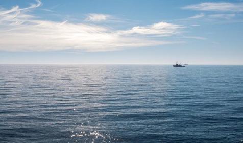 Фирменный люкс с прямым видом на море. Гостиница Dolphin, г. Сочи