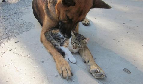 База отдыха Геленджик, г. Геленджик