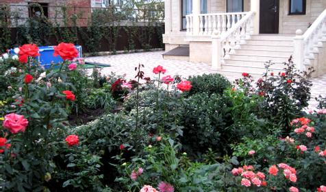 Гостевой дом Каракатица, пос. Витязево