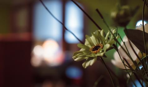 Паркетный зал. Ресторан Nonna Mia, г. Краснодар