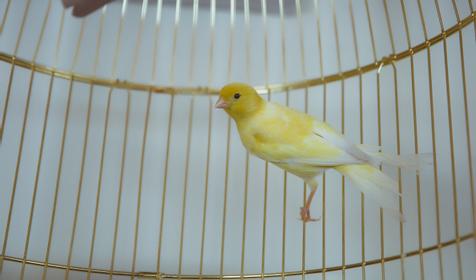 Ресторан Nonna Mia, г. Краснодар