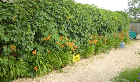 Гостевой дом Анастасия, ст. Должанская