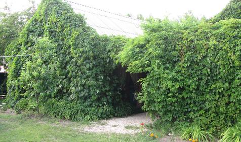 Гостевой дом Анастасия, ст. Должанская