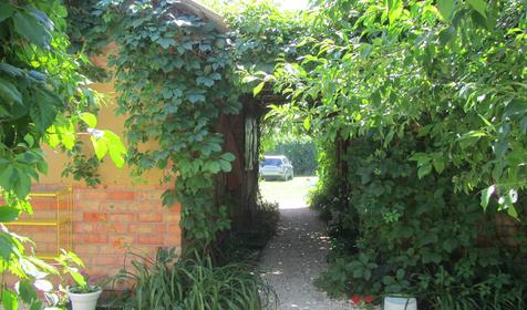 Гостевой дом Анастасия, ст. Должанская