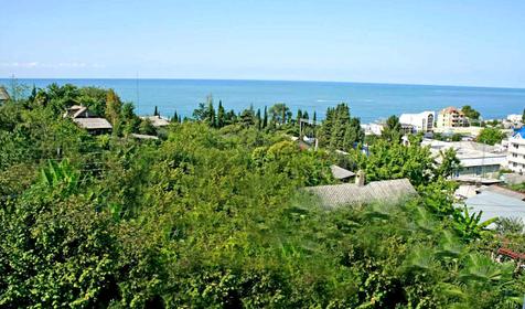 Вид из гостевого дома. Гостевой дом Анис, г. Сочи, пос. Лоо