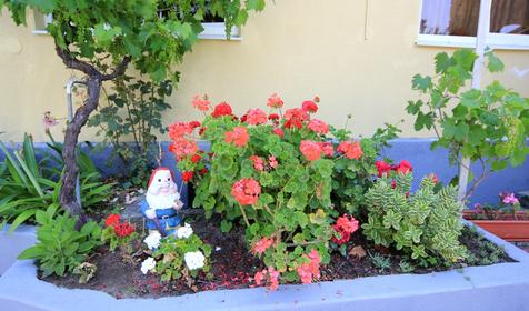 Территория. Гостевой дом Анис, г. Сочи, пос. Лоо