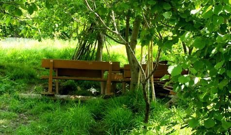 Территория. Гостевой дом Анис, г. Сочи, пос. Лоо