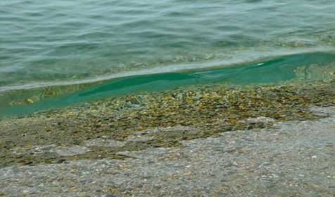 Поселок Лоо. Гостевой дом Анис, г. Сочи, пос. Лоо
