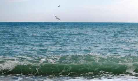 База отдыха Геленджик, г. Геленджик