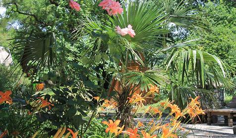 База отдыха Геленджик, г. Геленджик