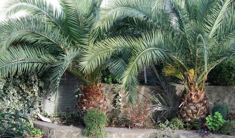 Гостевой дом Панорама, г. Сочи