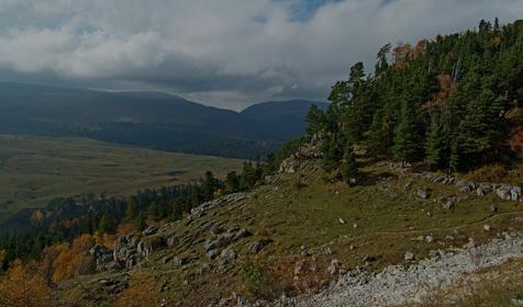бг лаго-наки