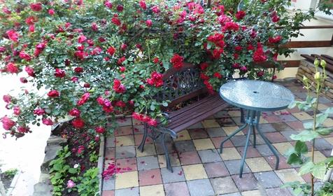 Гостевой дом Аквамарин, г. Геленджик, с. Кабардинка