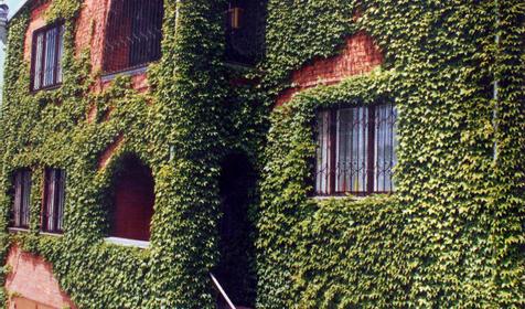 Гостевой дом на Буденного, 107. г. Краснодар