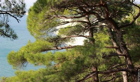 Автокемпинг "Голубая бездна". п. Дивноморское, 3-й километр на Джанхот