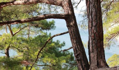 Автокемпинг "Голубая бездна". п. Дивноморское, 3-й километр на Джанхот