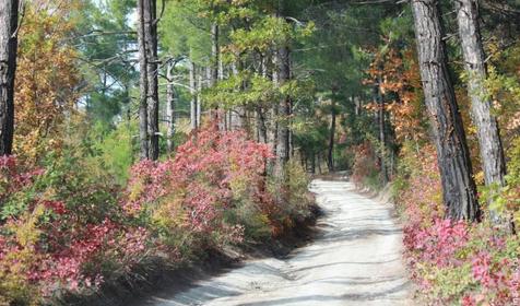 Автокемпинг "Голубая бездна". п. Дивноморское, 3-й километр на Джанхот