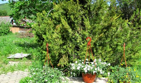 Частный дом Романтика, Каменномостский